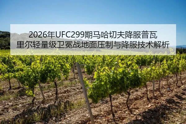 nian-qi-ma-ha-qie-fu-xiang-fu-pu-wa-li-er-qing-liang-ji-wei-mian-zhan-di-mian-ya-zhi-yu-xiang-fu-ji-shu-jie-xi-2-500.jpg